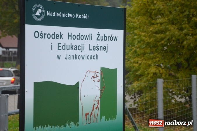 Zdjęcie w galerii na portalu naszraciborz.pl: Spotkanie z przedstawicielami ekologicznych organizacji pozarządowych wiadomości z regionu