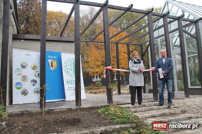 Zdjęcie w galerii na portalu naszraciborz.pl: Egzotyczny ogr&oacute;d powstał w Bytomiu wiadomości z regionu