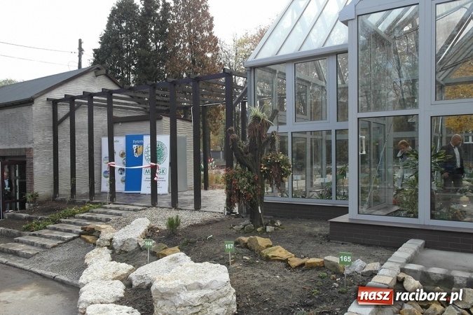 Zdjęcie w galerii na portalu naszraciborz.pl: Egzotyczny ogr&oacute;d powstał w Bytomiu wiadomości z regionu