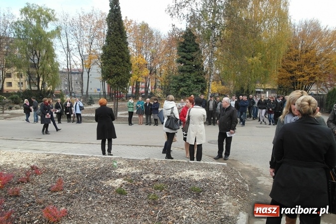 Zdjęcie w galerii na portalu naszraciborz.pl: Egzotyczny ogr&oacute;d powstał w Bytomiu wiadomości z regionu