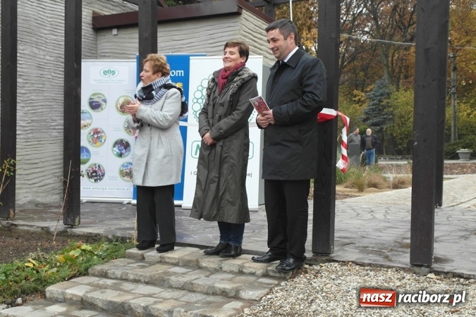Zdjęcie w galerii na portalu naszraciborz.pl: Egzotyczny ogr&oacute;d powstał w Bytomiu wiadomości z regionu