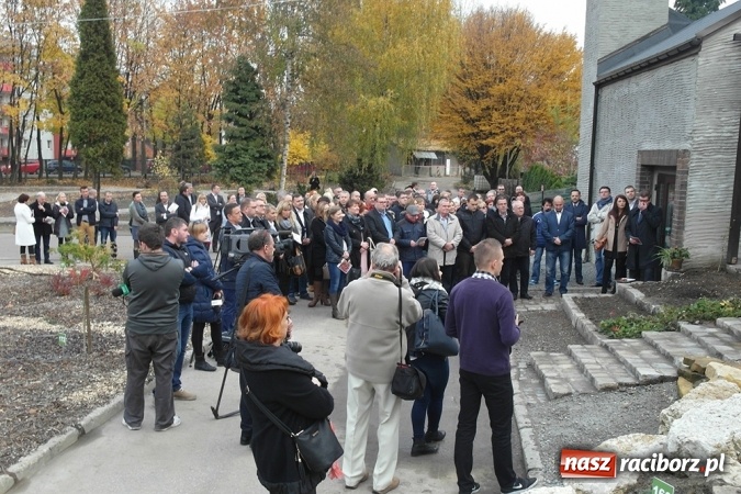 Zdjęcie w galerii na portalu naszraciborz.pl: Egzotyczny ogr&oacute;d powstał w Bytomiu wiadomości z regionu