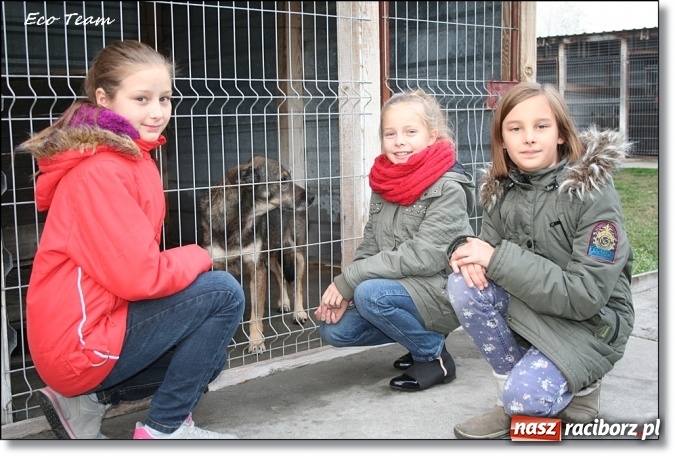 Zdjęcie w galerii na portalu naszraciborz.pl: Pełna miska dla schroniska z Eco Team wiadomości z regionu