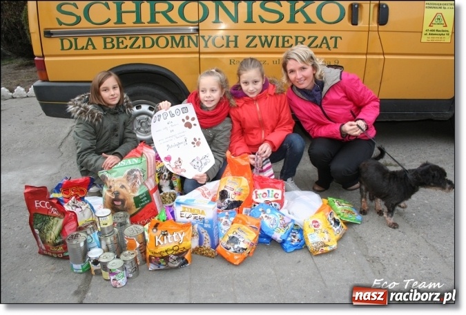 Zdjęcie w galerii na portalu naszraciborz.pl: Pełna miska dla schroniska z Eco Team wiadomości z regionu