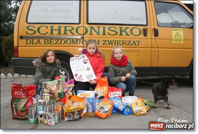 Zdjęcie w galerii na portalu naszraciborz.pl: Pełna miska dla schroniska z Eco Team wiadomości z regionu