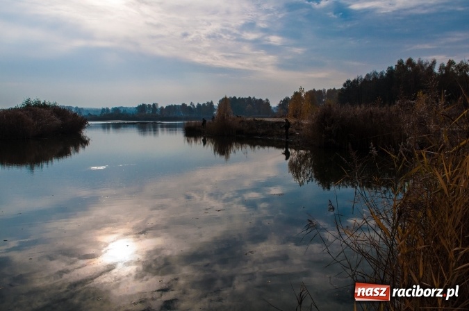 Zdjęcie w galerii na portalu naszraciborz.pl: Zawody spinningowe o puchar Starosty Raciborskiego - Babiczok kończy sezon wiadomości z regionu