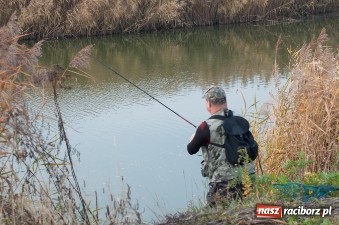 Zdjęcie w galerii na portalu naszraciborz.pl: Zawody spinningowe o puchar Starosty Raciborskiego - Babiczok kończy sezon wiadomości z regionu