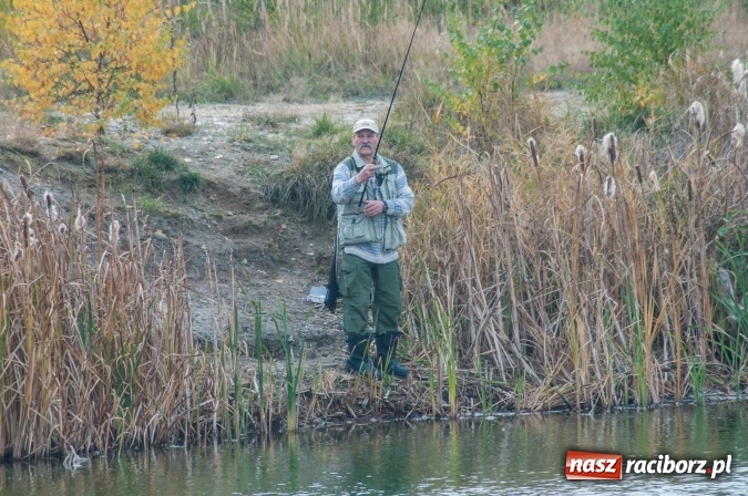 Zdjęcie w galerii na portalu naszraciborz.pl: Zawody spinningowe o puchar Starosty Raciborskiego - Babiczok kończy sezon wiadomości z regionu