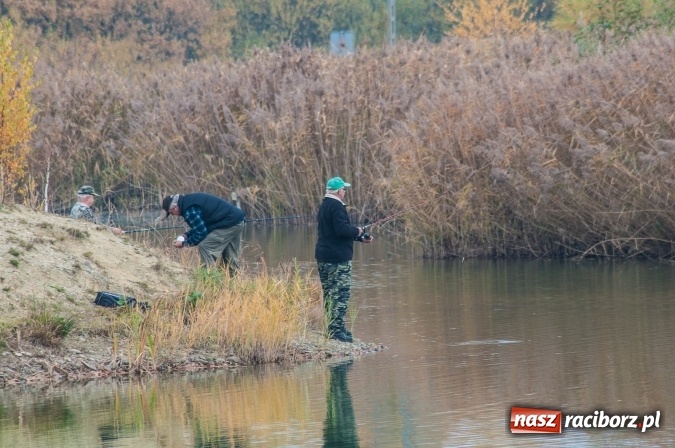 Zdjęcie w galerii na portalu naszraciborz.pl: Zawody spinningowe o puchar Starosty Raciborskiego - Babiczok kończy sezon wiadomości z regionu