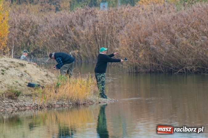Zdjęcie w galerii na portalu naszraciborz.pl: Zawody spinningowe o puchar Starosty Raciborskiego - Babiczok kończy sezon wiadomości z regionu