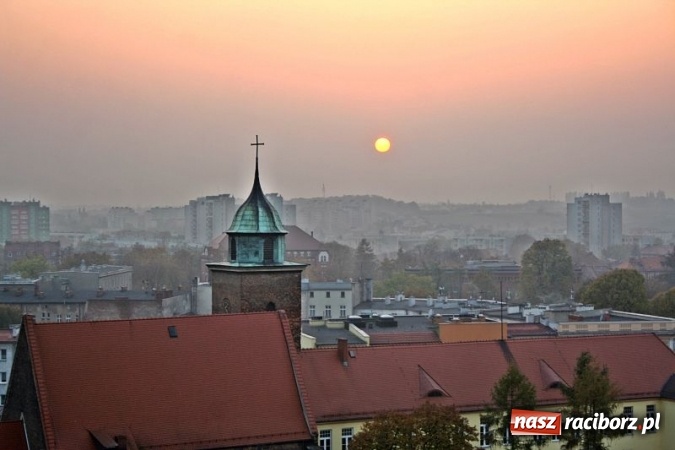 Zdjęcie w galerii na portalu naszraciborz.pl: II edycja Twój zawód brzmi znajomo  wiadomości z regionu