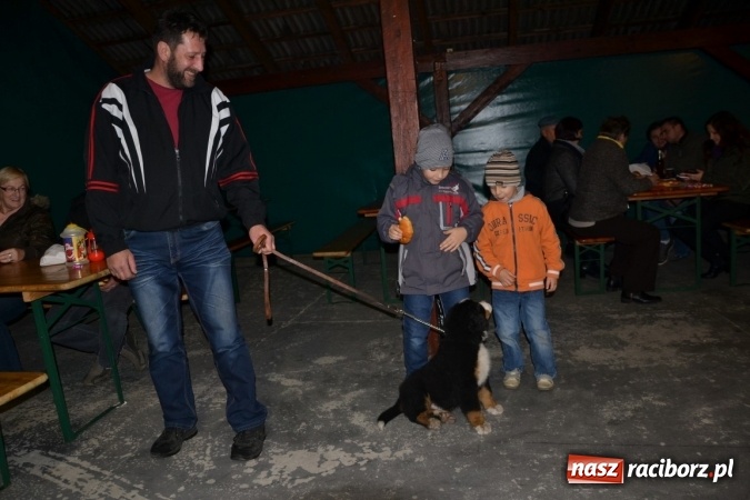 Zdjęcie w galerii na portalu naszraciborz.pl: Orszak świętego Marcina w Rudyszwałdzie wiadomości z regionu