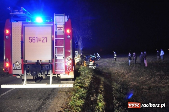 Zdjęcie w galerii na portalu naszraciborz.pl: Golf uderzył w drzewo na drodze do promu w Grzegorzowicach. Trzy osoby poważnie ranne wiadomości z regionu