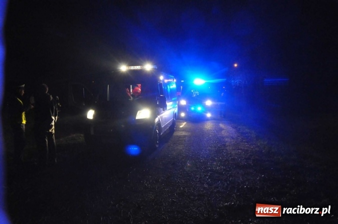 Zdjęcie w galerii na portalu naszraciborz.pl: Golf uderzył w drzewo na drodze do promu w Grzegorzowicach. Trzy osoby poważnie ranne wiadomości z regionu