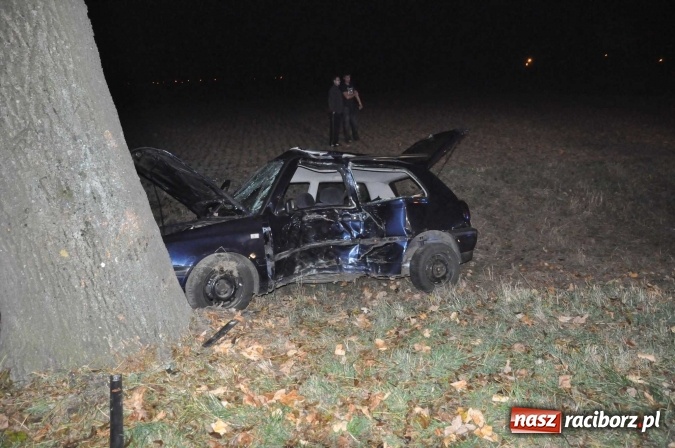 Zdjęcie w galerii na portalu naszraciborz.pl: Golf uderzył w drzewo na drodze do promu w Grzegorzowicach. Trzy osoby poważnie ranne wiadomości z regionu