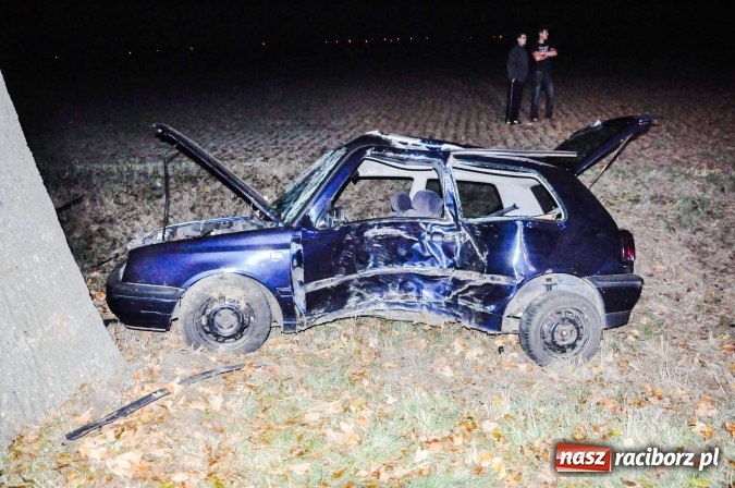 Zdjęcie w galerii na portalu naszraciborz.pl: Golf uderzył w drzewo na drodze do promu w Grzegorzowicach. Trzy osoby poważnie ranne wiadomości z regionu
