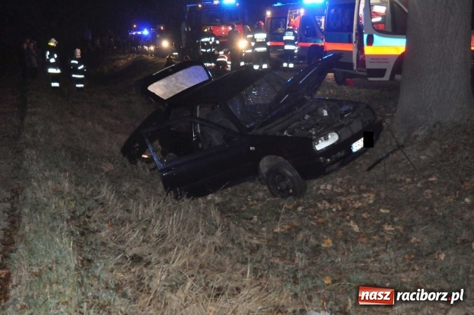 Zdjęcie w galerii na portalu naszraciborz.pl: Golf uderzył w drzewo na drodze do promu w Grzegorzowicach. Trzy osoby poważnie ranne wiadomości z regionu
