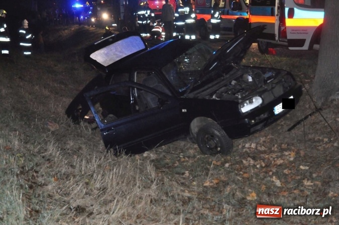 Zdjęcie w galerii na portalu naszraciborz.pl: Golf uderzył w drzewo na drodze do promu w Grzegorzowicach. Trzy osoby poważnie ranne wiadomości z regionu