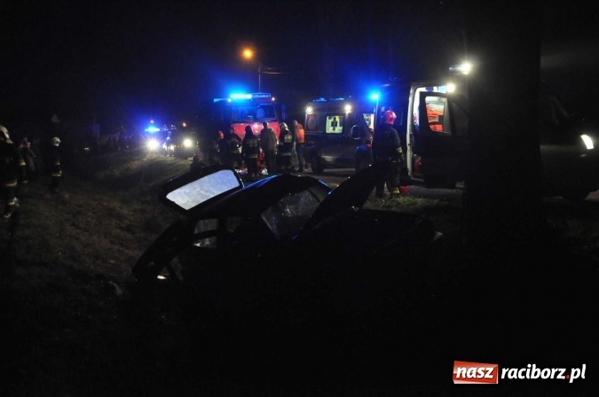 Zdjęcie w galerii na portalu naszraciborz.pl: Golf uderzył w drzewo na drodze do promu w Grzegorzowicach. Trzy osoby poważnie ranne wiadomości z regionu
