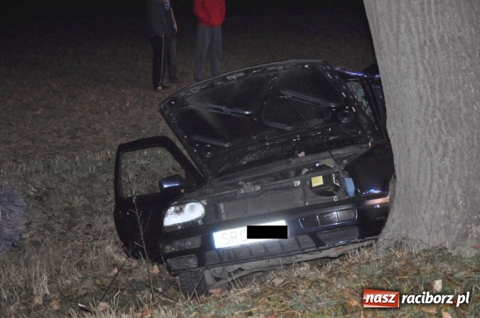 Zdjęcie w galerii na portalu naszraciborz.pl: Golf uderzył w drzewo na drodze do promu w Grzegorzowicach. Trzy osoby poważnie ranne wiadomości z regionu