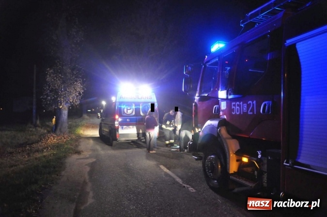 Zdjęcie w galerii na portalu naszraciborz.pl: Golf uderzył w drzewo na drodze do promu w Grzegorzowicach. Trzy osoby poważnie ranne wiadomości z regionu