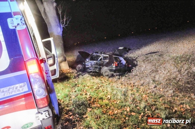 Zdjęcie w galerii na portalu naszraciborz.pl: Golf uderzył w drzewo na drodze do promu w Grzegorzowicach. Trzy osoby poważnie ranne wiadomości z regionu