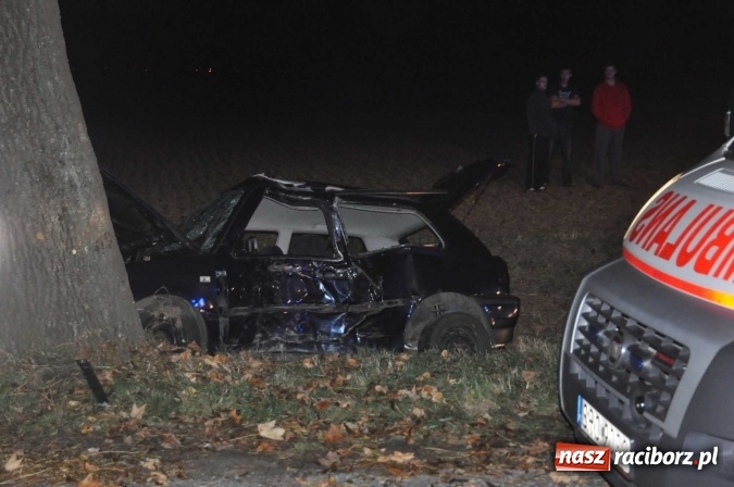 Zdjęcie w galerii na portalu naszraciborz.pl: Golf uderzył w drzewo na drodze do promu w Grzegorzowicach. Trzy osoby poważnie ranne wiadomości z regionu