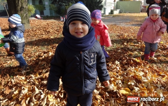 Zdjęcie w galerii na portalu naszraciborz.pl: Jak się nie nudzić z małym dzieckiem w domu?  wiadomości z regionu