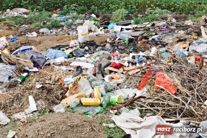 Zdjęcie w galerii na portalu naszraciborz.pl: LocalSpot i Fundacja BOŚ nawiązują współpracę. Zgłaszanie dzikich wysypisk śmieci jeszcze prostsze  wiadomości z regionu