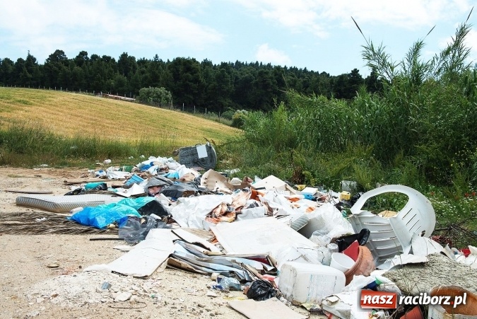 Zdjęcie w galerii na portalu naszraciborz.pl: LocalSpot i Fundacja BOŚ nawiązują współpracę. Zgłaszanie dzikich wysypisk śmieci jeszcze prostsze  wiadomości z regionu