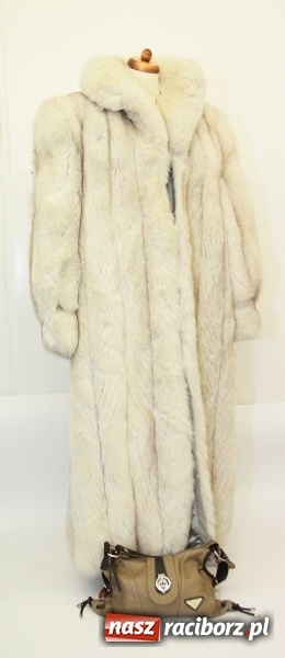 Zdjęcie w galerii na portalu naszraciborz.pl: HU HU HA Z ROBANEM ZIMA NIE BĘDZIE TAKA ZŁA  wiadomości z regionu