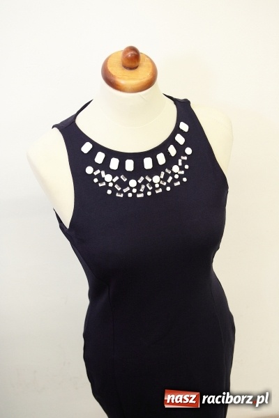 Zdjęcie w galerii na portalu naszraciborz.pl: HU HU HA Z ROBANEM ZIMA NIE BĘDZIE TAKA ZŁA  wiadomości z regionu