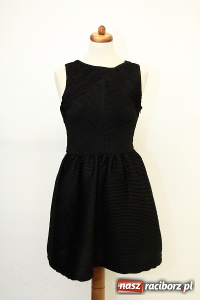 Zdjęcie w galerii na portalu naszraciborz.pl: HU HU HA Z ROBANEM ZIMA NIE BĘDZIE TAKA ZŁA  wiadomości z regionu