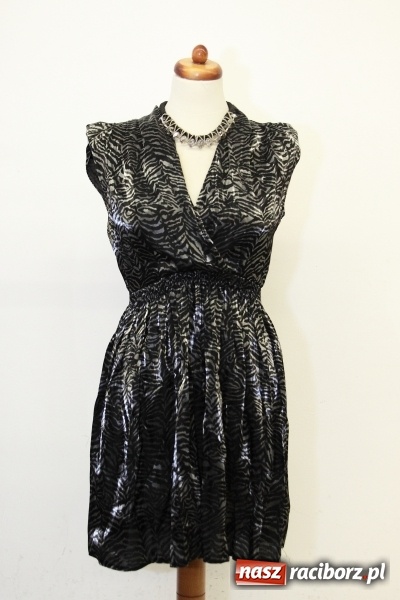 Zdjęcie w galerii na portalu naszraciborz.pl: HU HU HA Z ROBANEM ZIMA NIE BĘDZIE TAKA ZŁA  wiadomości z regionu