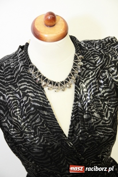 Zdjęcie w galerii na portalu naszraciborz.pl: HU HU HA Z ROBANEM ZIMA NIE BĘDZIE TAKA ZŁA  wiadomości z regionu