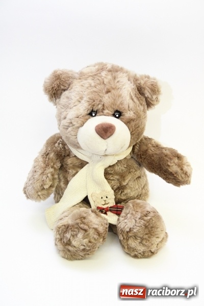 Zdjęcie w galerii na portalu naszraciborz.pl: HU HU HA Z ROBANEM ZIMA NIE BĘDZIE TAKA ZŁA  wiadomości z regionu