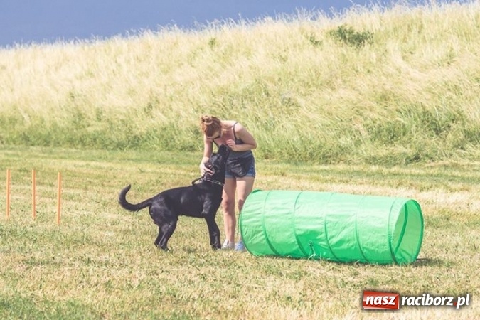 Zdjęcie w galerii na portalu naszraciborz.pl: Masz psa? Weź go na wyjątkowy spacer! wiadomości z regionu