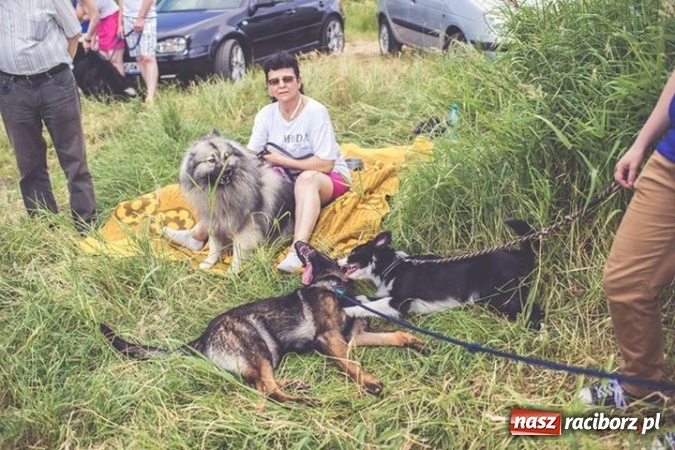 Zdjęcie w galerii na portalu naszraciborz.pl: Masz psa? Weź go na wyjątkowy spacer! wiadomości z regionu