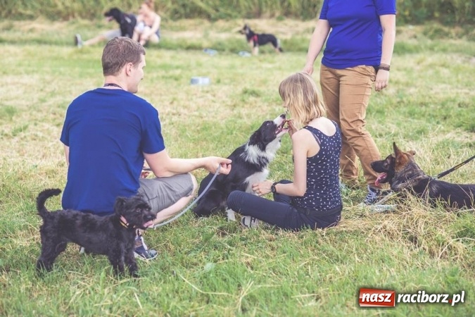 Zdjęcie w galerii na portalu naszraciborz.pl: Masz psa? Weź go na wyjątkowy spacer! wiadomości z regionu