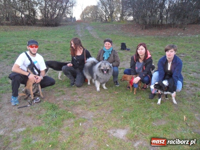 Zdjęcie w galerii na portalu naszraciborz.pl: Masz psa? Weź go na wyjątkowy spacer! wiadomości z regionu
