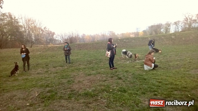 Zdjęcie w galerii na portalu naszraciborz.pl: Masz psa? Weź go na wyjątkowy spacer! wiadomości z regionu