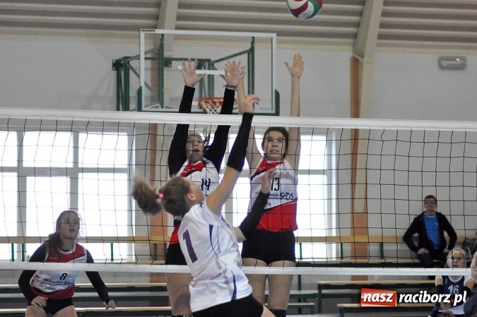 Zdjęcie w galerii na portalu naszraciborz.pl: W Krzanowicach siatkarki walczyły o puchar starosty wiadomości z regionu