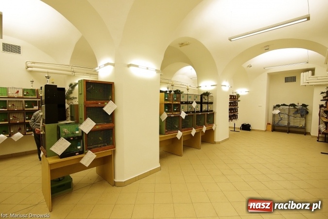 Zdjęcie w galerii na portalu naszraciborz.pl: W Labiryncie dziś i jutro zobaczysz wystawę ptaków wiadomości z regionu