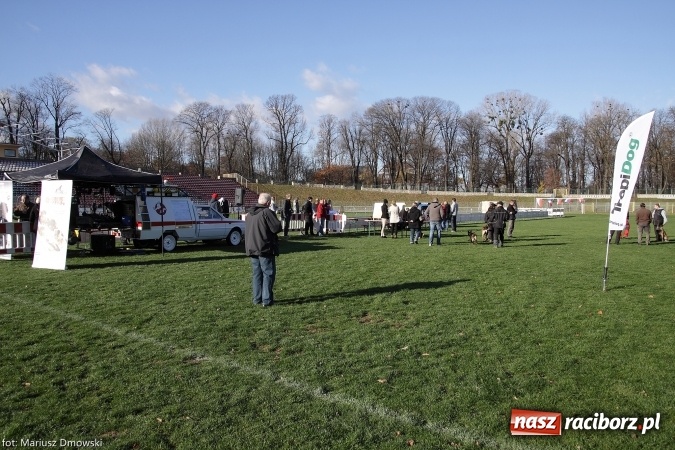 Zdjęcie w galerii na portalu naszraciborz.pl: Międzynarodowe Zawody Mondioringu dziś i jutro w Raciborzu  wiadomości z regionu