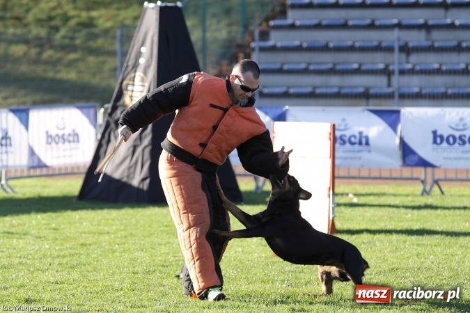 Zdjęcie w galerii na portalu naszraciborz.pl: Międzynarodowe Zawody Mondioringu dziś i jutro w Raciborzu  wiadomości z regionu