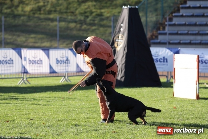 Zdjęcie w galerii na portalu naszraciborz.pl: Międzynarodowe Zawody Mondioringu dziś i jutro w Raciborzu  wiadomości z regionu