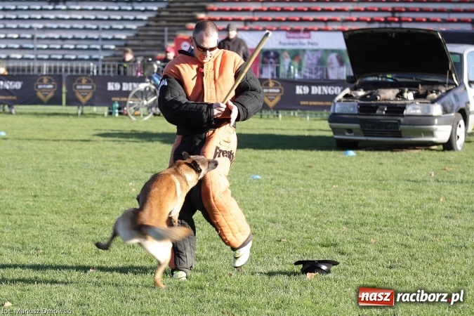 Zdjęcie w galerii na portalu naszraciborz.pl: Międzynarodowe Zawody Mondioringu dziś i jutro w Raciborzu  wiadomości z regionu