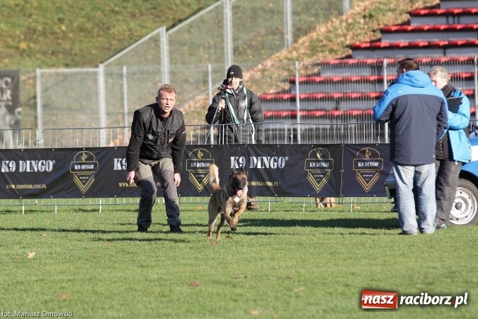 Zdjęcie w galerii na portalu naszraciborz.pl: Międzynarodowe Zawody Mondioringu dziś i jutro w Raciborzu  wiadomości z regionu