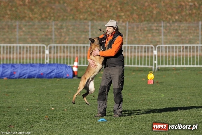 Zdjęcie w galerii na portalu naszraciborz.pl: Międzynarodowe Zawody Mondioringu dziś i jutro w Raciborzu  wiadomości z regionu