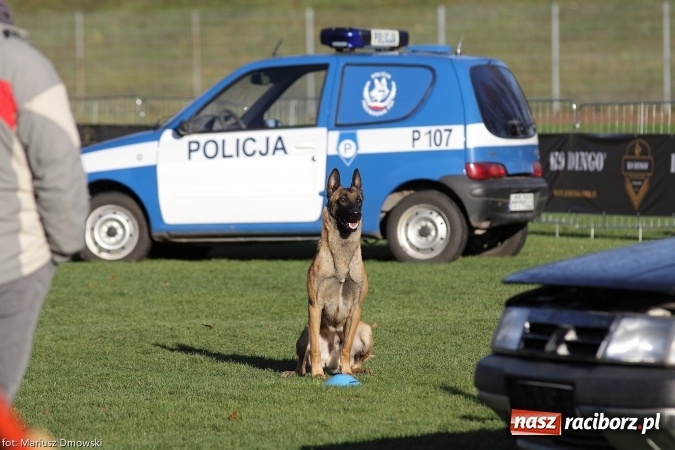 Zdjęcie w galerii na portalu naszraciborz.pl: Międzynarodowe Zawody Mondioringu dziś i jutro w Raciborzu  wiadomości z regionu